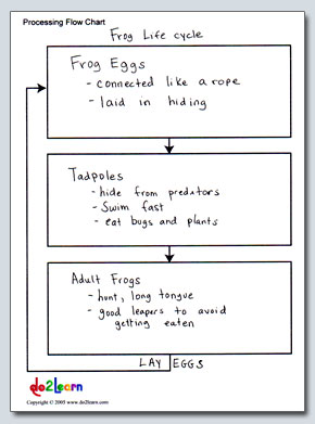 Brainstorming Web